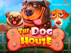 Red dog casino review22